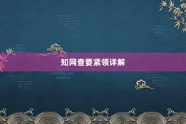 知网查要紧领详解